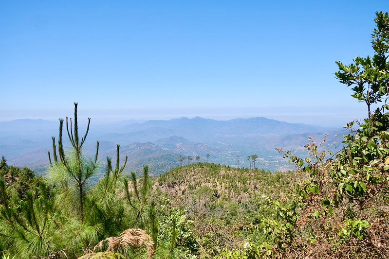 La creación de este sendero es resultado de la suma de esfuerzos entre instancias ambientales, organizaciones de la sociedad civil y mecanismos de financiamiento para la conservación